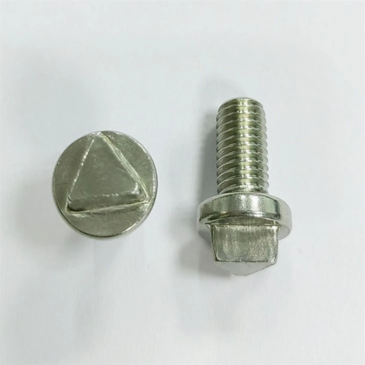 Triangle Security Screw (3)