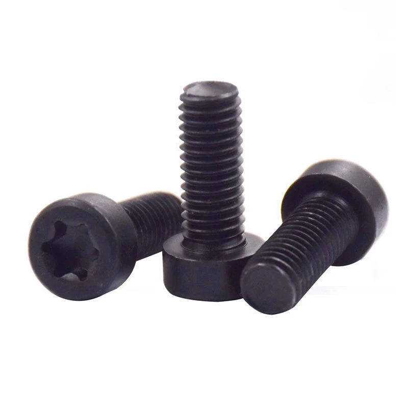 black torx screw 1 black torx screw 1