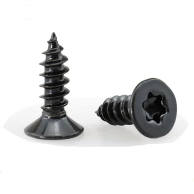 پیچ مسطح Torx Drive Self Tapping Screw